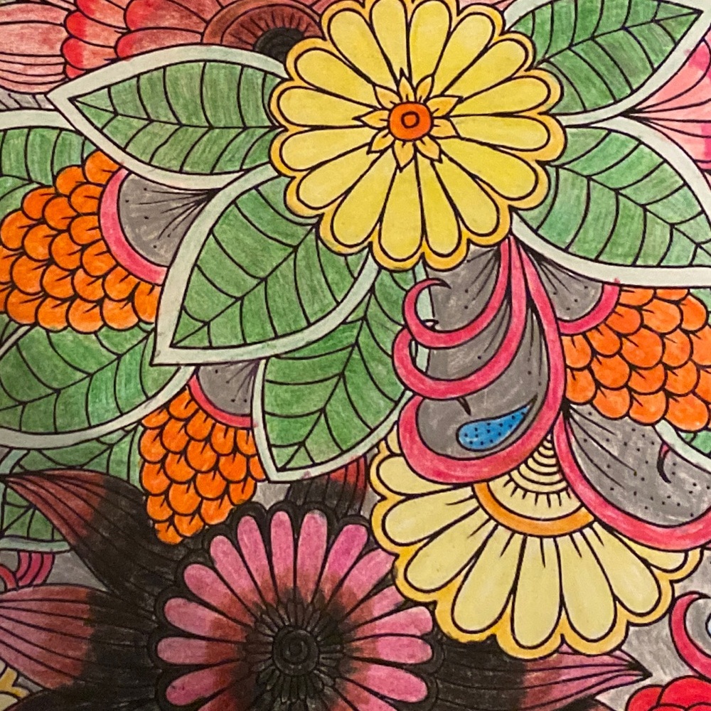 Meet your Posher, Tara